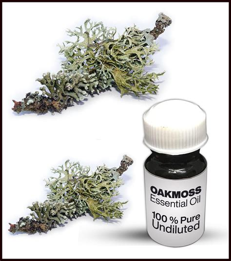 best oakmoss scent.